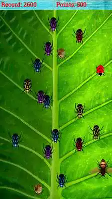Play Bug Smasher