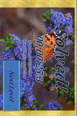 Play Bugs Puzzle