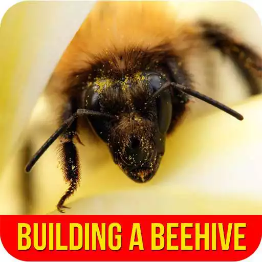 Free play online Building A Beehive APK Free play online Building A Beehive APK