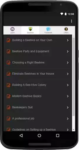 Play Building A Beehive