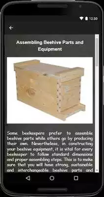 Play Building A Beehive