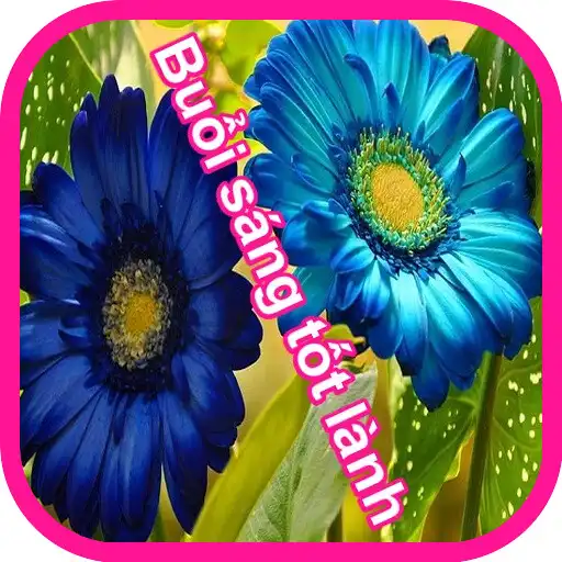 Play Buổi sáng tốt lành APK