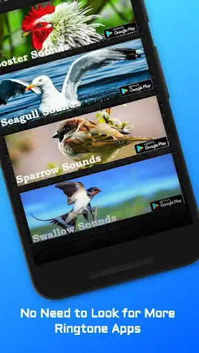 Play Bulbul Birds Sounds as an online game Bulbul Birds Sounds with UptoPlay