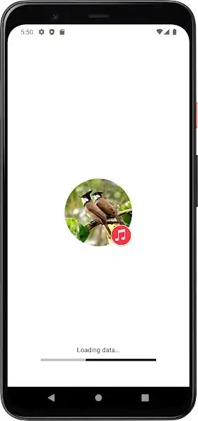 Play Bulbul Sounds  and enjoy Bulbul Sounds with UptoPlay