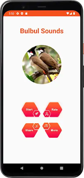 Play Bulbul Sounds as an online game Bulbul Sounds with UptoPlay