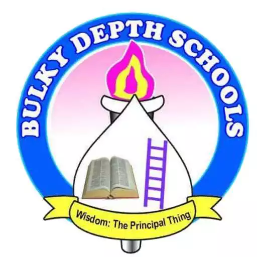 Play Bulky Depth Schools APK