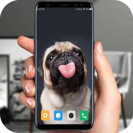 Play Bulldog lick screen prank APK