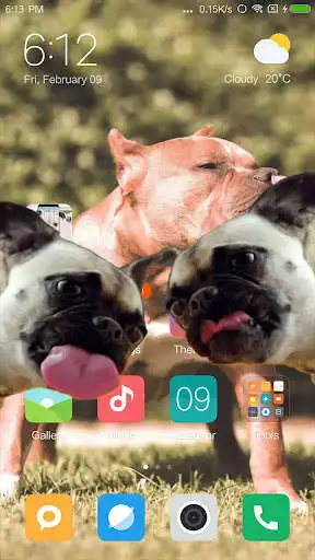 Play Bulldog lick screen prank as an online game online Bulldog lick screen prank with UptoPlay com.mandg.funny.bulldog Play Bulldog lick screen prank as an online game Bulldog lick screen prank with UptoPlay