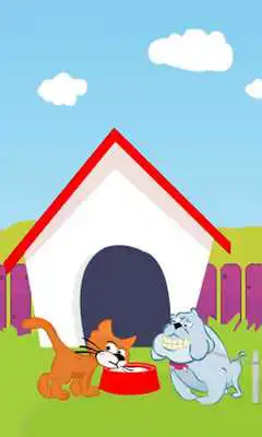 Play Bulldog vs Cat Fun