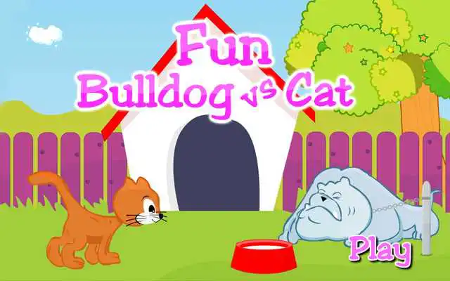 Play Bulldog vs Cat Fun