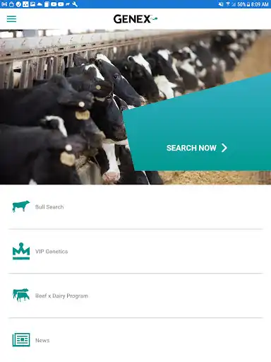 Play Bull Search and enjoy Bull Search with UptoPlay Play Bull Search and enjoy Bull Search with UptoPlay