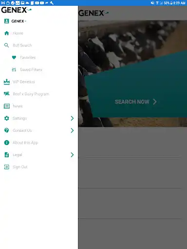 Play Bull Search as an online game online Bull Search with UptoPlay Play Bull Search as an online game Bull Search with UptoPlay