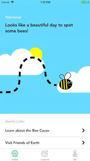 Play Bumble Bee Count  and enjoy Bumble Bee Count with UptoPlay