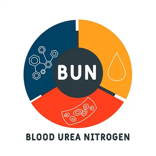 Play BUN Creatinine Ratio Calculate APK