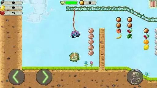 Play Bungee Turtle  and enjoy Bungee Turtle with UptoPlay