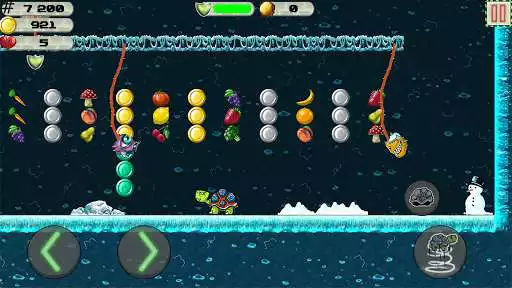 Play Bungee Turtle as an online game Bungee Turtle with UptoPlay