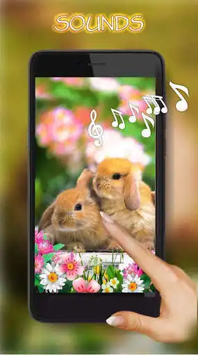 Play Bunnies Live Wallpaper  and enjoy Bunnies Live Wallpaper with UptoPlay