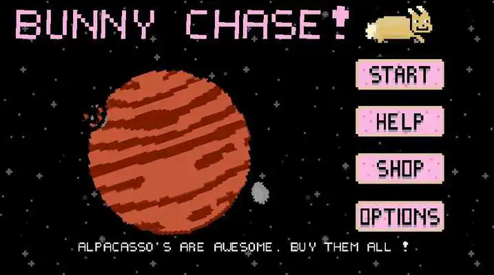 Play Bunny Chase