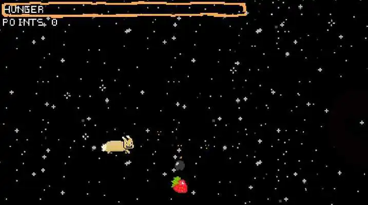 Play Bunny Chase