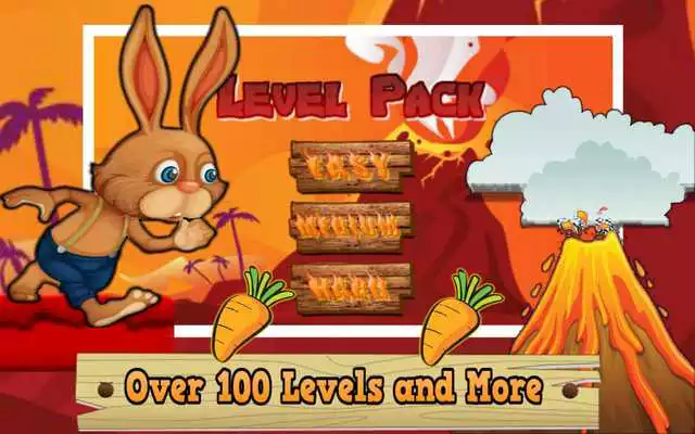 Play Bunny Fire Adventure