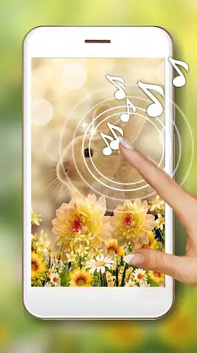 Play Bunny Friendly and enjoy Bunny Friendly with UptoPlay Play Bunny Friendly and enjoy Bunny Friendly with UptoPlay