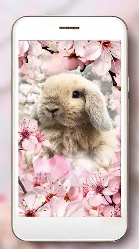 Play Bunny Friendly as an online game online Bunny Friendly with UptoPlay com.jotunheijm505.bunnyfriendly Play Bunny Friendly as an online game Bunny Friendly with UptoPlay