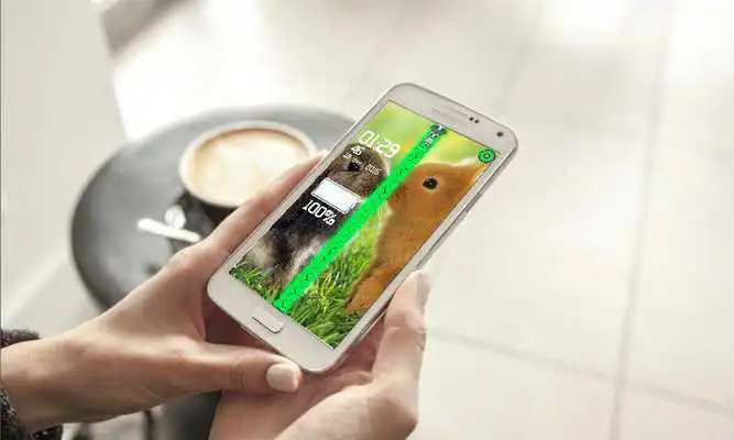 Play Bunny Lock Screen Zipper