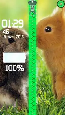 Play Bunny Lock Screen Zipper