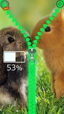 Play Bunny Lock Screen Zipper