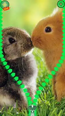 Play Bunny Lock Screen Zipper