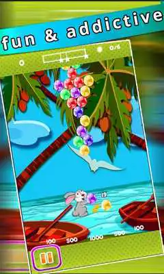 Play Bunny Madness Bubble Shooter