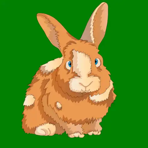 Play bunny photos APK Play bunny photos APK