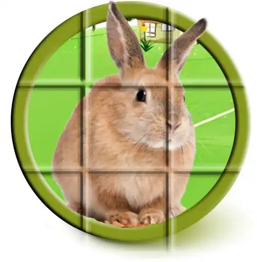 Free play online Bunny Puzzle APK Free play online Bunny Puzzle APK