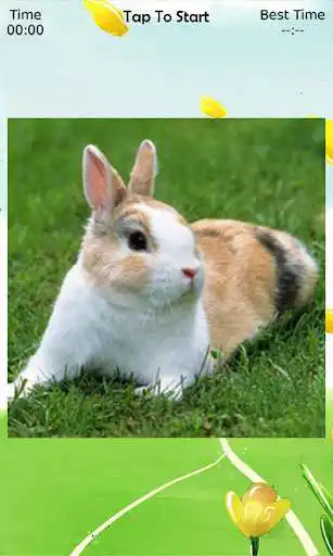 Play Bunny Puzzle