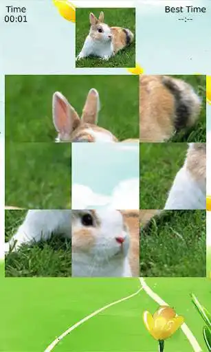 Play Bunny Puzzle