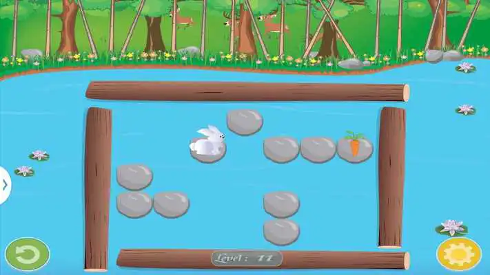 Play Bunny Puzzle