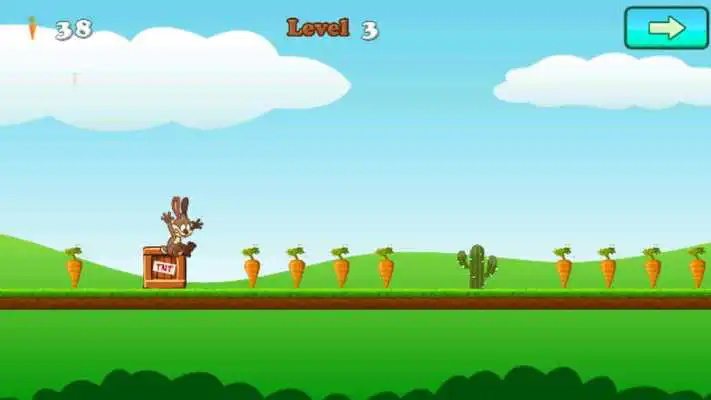 Play Bunny Run - Rabbit Games Play Bunny Run - Rabbit Games