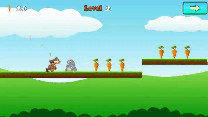 Play Bunny Run - Rabbit Games Play Bunny Run - Rabbit Games