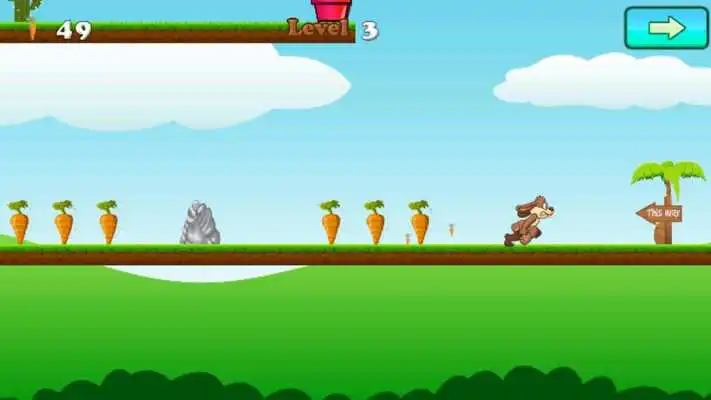 Play Bunny Run - Rabbit Games Play Bunny Run - Rabbit Games