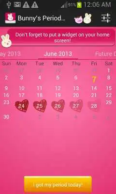 Play Bunnys Period Calendar/Tracker