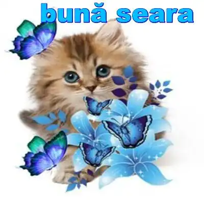Play Bună Seara  and enjoy Bună Seara with UptoPlay