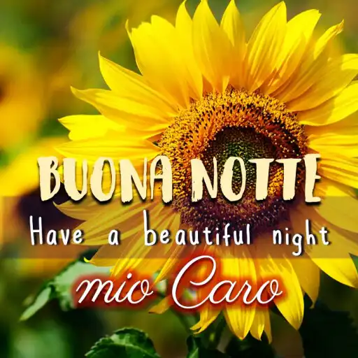 Play Buona notte 2023  and enjoy Buona notte 2023 with UptoPlay