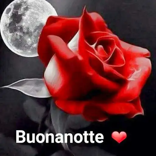 Play Buonanotte Immagini 2023 APK