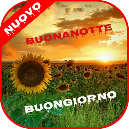 Play Buongiorno Buonanotte Immagini APK Play Buongiorno Buonanotte Immagini APK