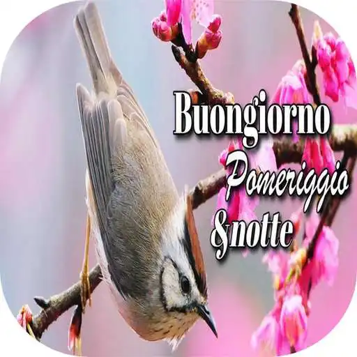 Play Buongiorno, buon pomeriggio e buonanotte immagini APK Play Buongiorno, buon pomeriggio e buonanotte immagini APK