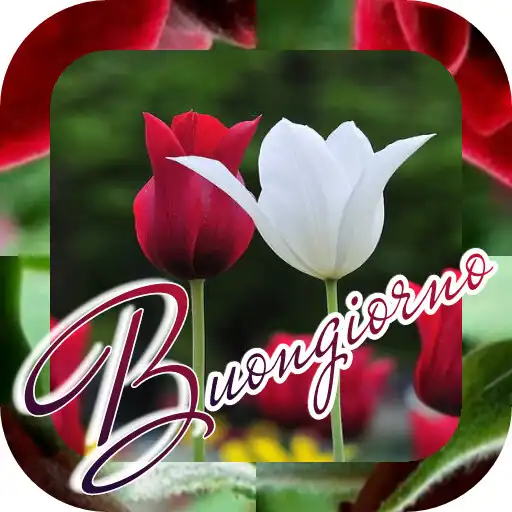 Play Buongiorno con i Fiori e di Rose APK Play Buongiorno con i Fiori e di Rose APK