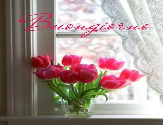 Play Buongiorno con i Fiori e di Rose  and enjoy Buongiorno con i Fiori e di Rose with UptoPlay