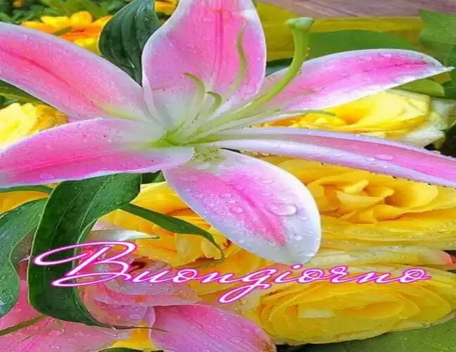 Play Buongiorno con i Fiori e di Rose as an online game Buongiorno con i Fiori e di Rose with UptoPlay