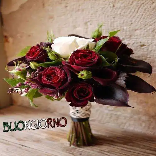 Play buongiorno con immagini di fiori GIF  and enjoy buongiorno con immagini di fiori GIF with UptoPlay