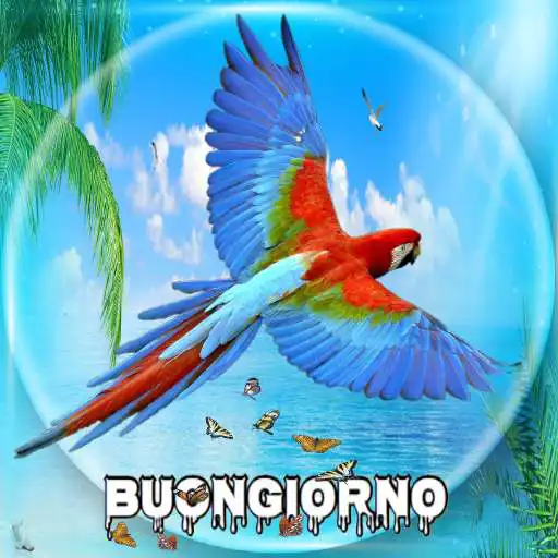 Play Buongiorno immagini Esclusivo APK
